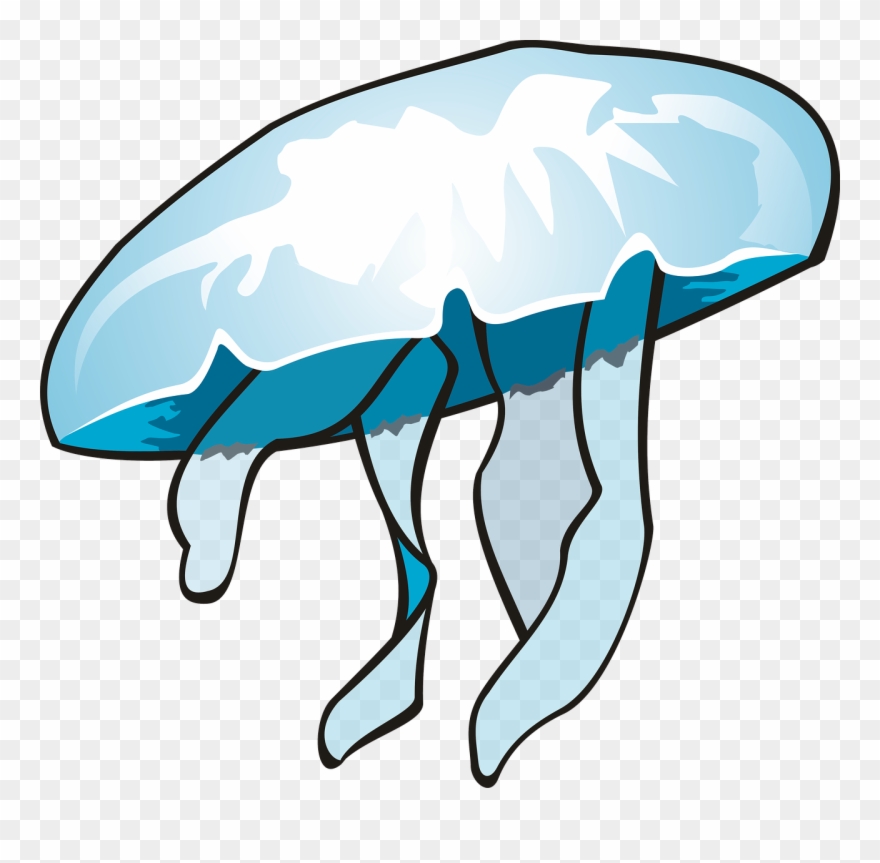 Svg Transparent Download Free Photo Ocean Water Filaments - Portable Network Graphics Clipart