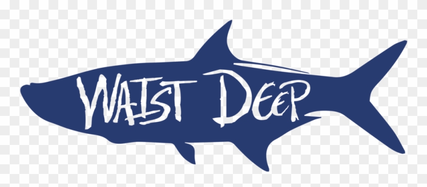 Tarpon Decal - Sticker Clipart