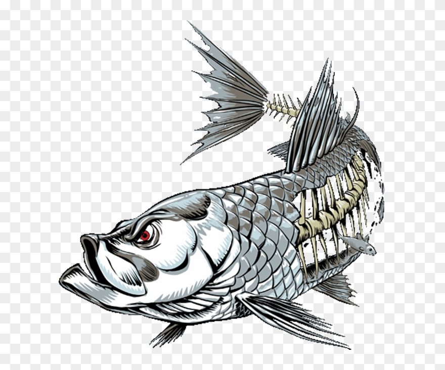 Tarpon - Tarpon Skeleton Clipart