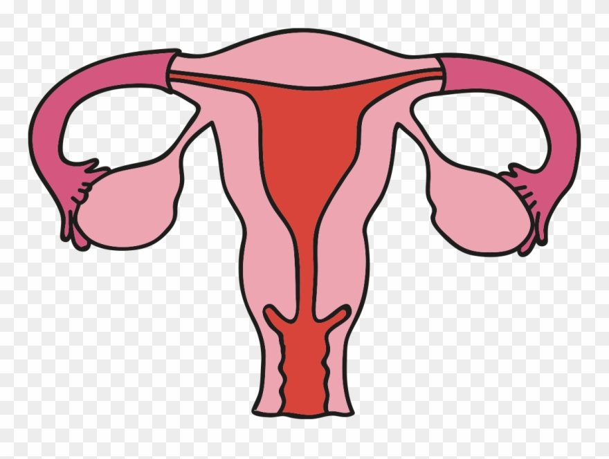 Read More - Rung Trung Clipart