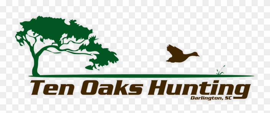 Quality Dove, Duck, And Quail Hunting In South Carolina - California