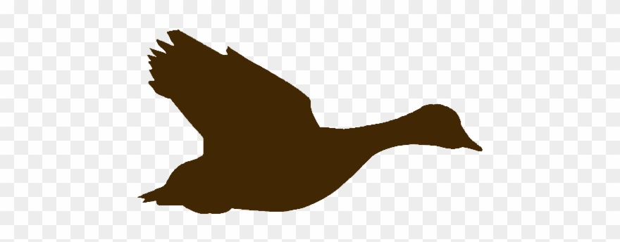 Quality Dove, Duck, And Quail Hunting In South Carolina Clipart