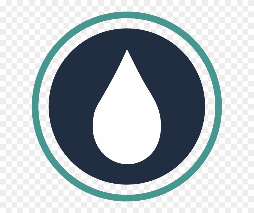 Algiclear Pro Concentrate 1ltr - Lichen Clipart