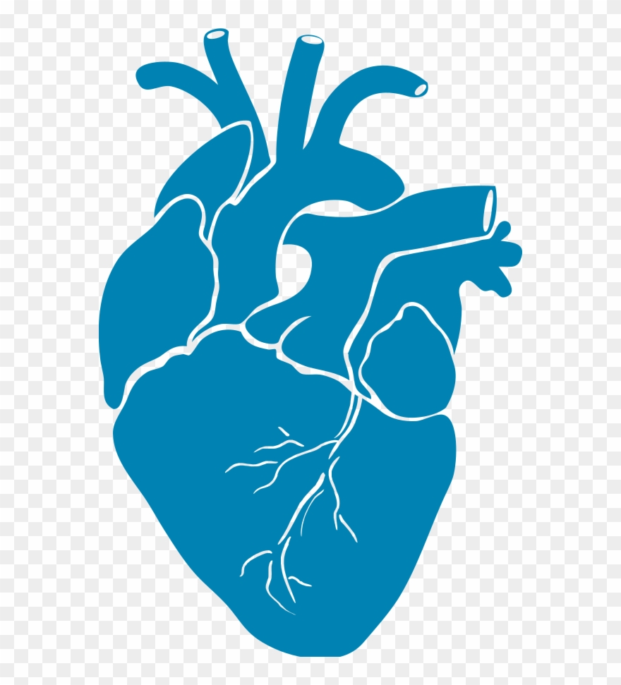 Login - Illustration Clipart