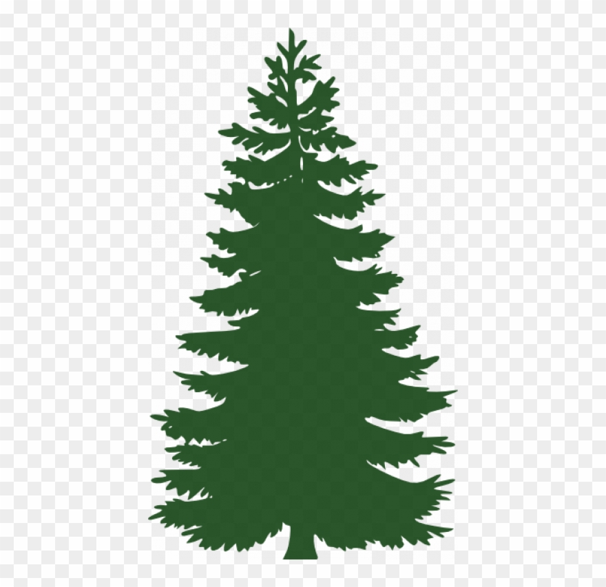 Dark Green Pine Tree Clipart