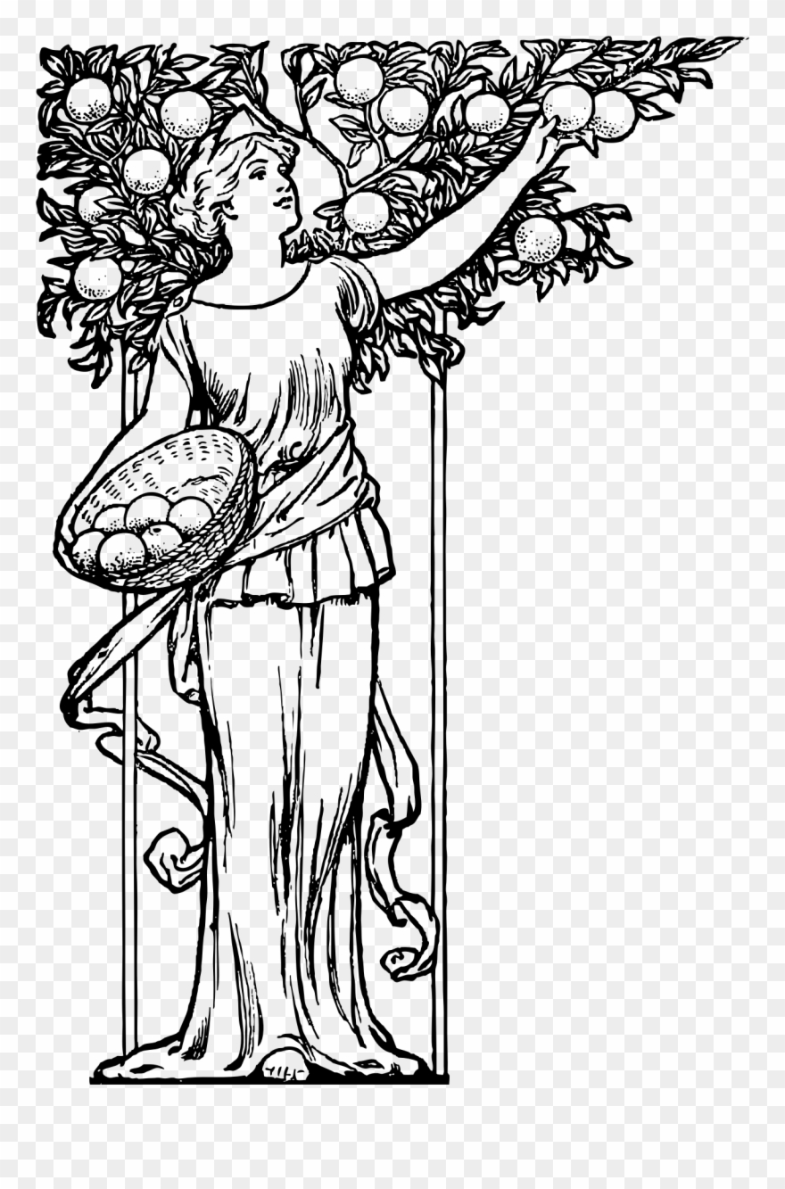 Big Image - Good Tree Bears Good Fruit Coloring Clipart