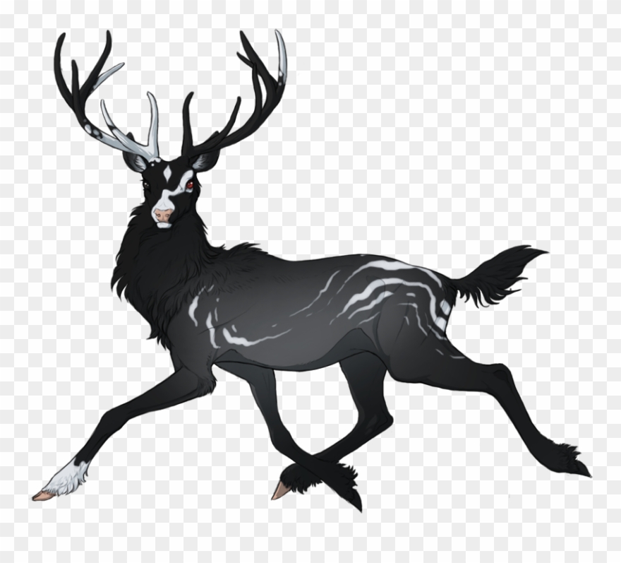 Disclaimer - Deer Adoptables Deviantart Clipart