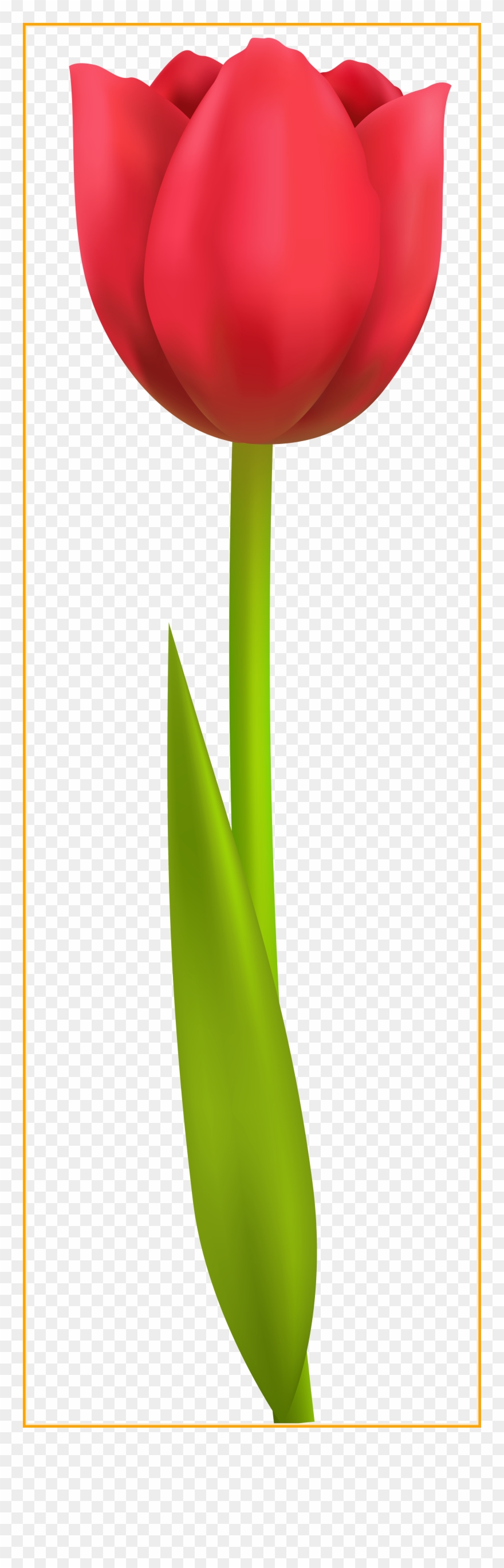 The Best Purple Crocus Flower Png Clipart Image Gallery - Clip Art Transparent Png