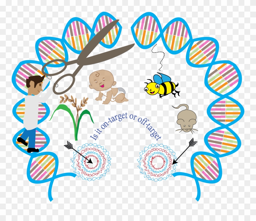 Professor Bradley's Group In Wellcome Trust Sanger Clipart
