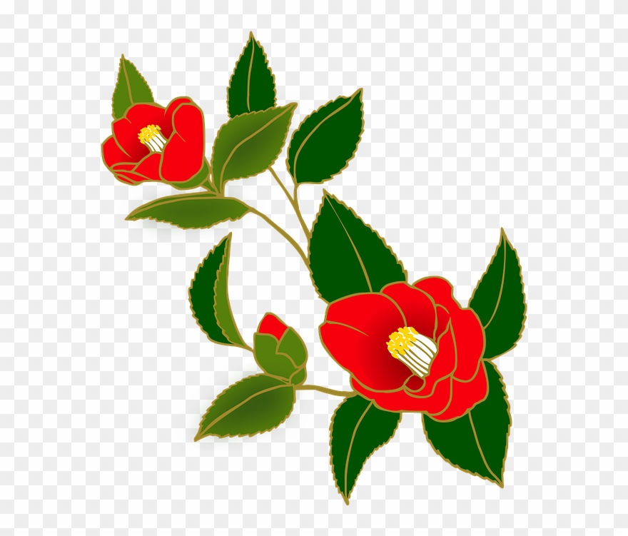 Camellia, Flowers, Red, Japanese Style, Winter - Japanese Camellia Clipart