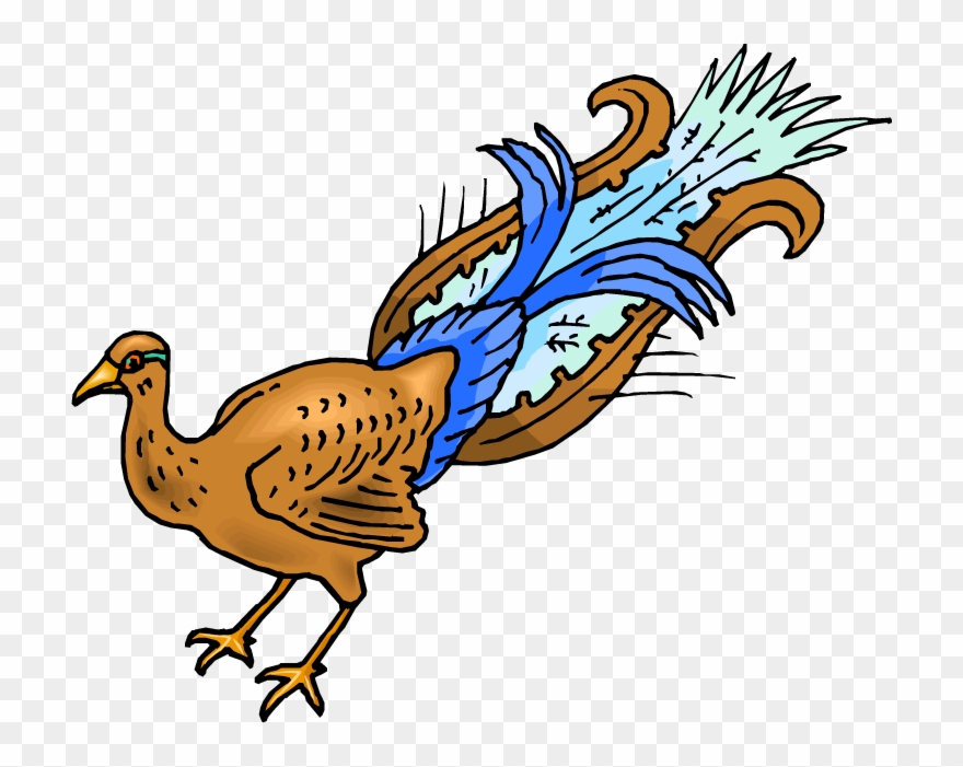 Banner Black And White Stock Clipart Peacock - Peafowl - Png Download