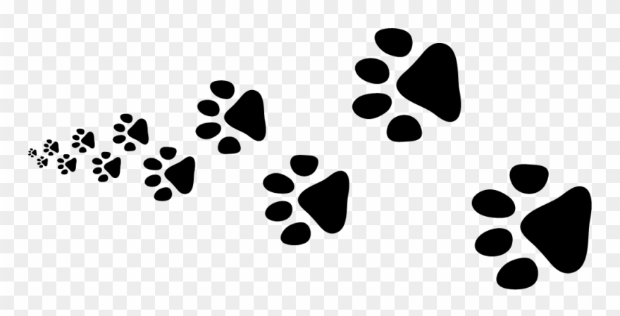 Request A Certificate Clipart