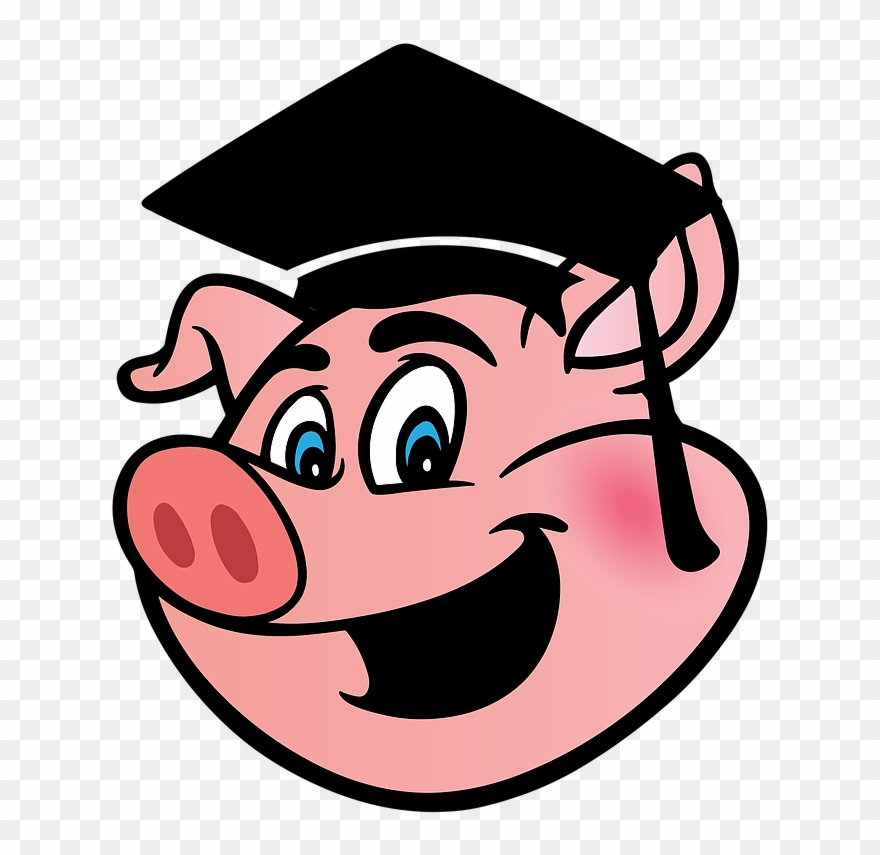 Bbq United States The University Of Que - Smiling Pig Cartoon Clipart