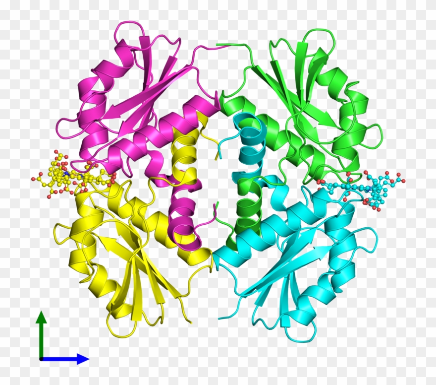 Pdb 2xwq Coloured By Chain And Viewed From The Front Clipart