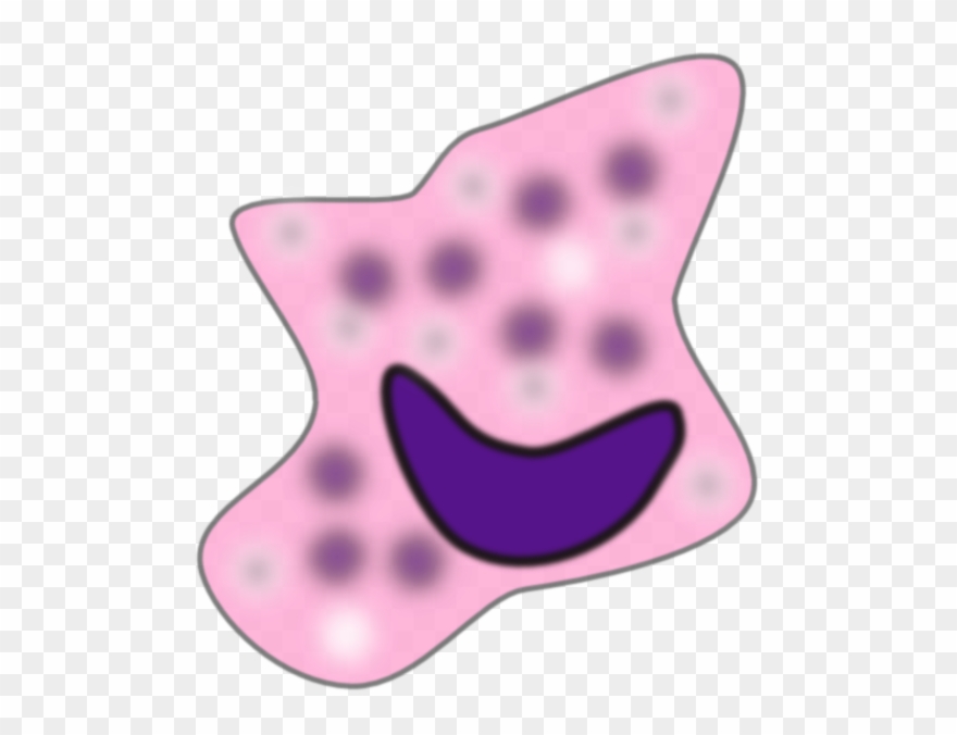 Macrophage Clip Art - Png Download