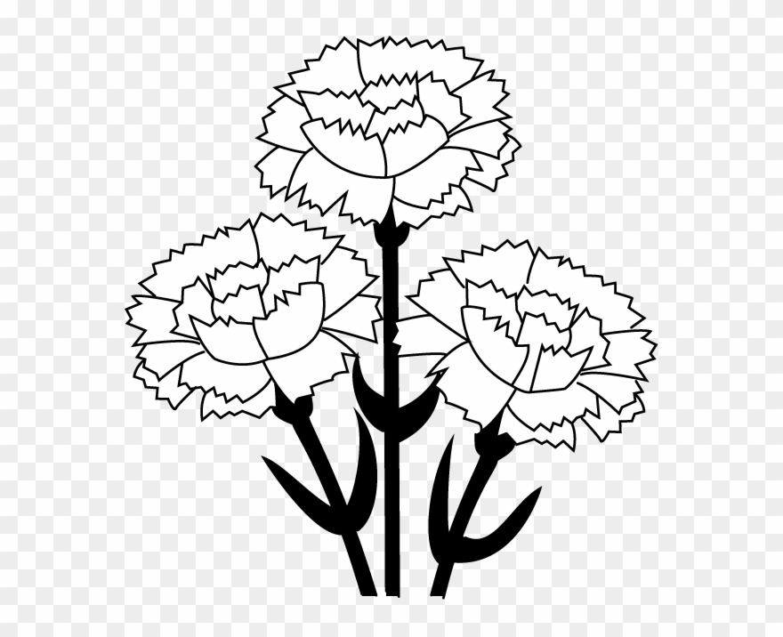 Carnation Clipart Black And White > > 51,25kb - Carnation Food Coloring Experiment Worksheet - Png Download