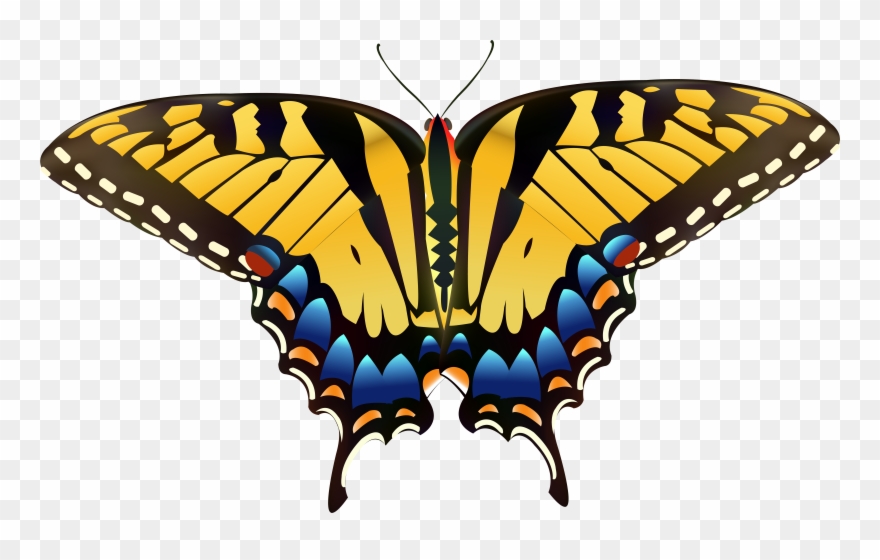 Yellow Butterfly Png Clip Art Live Again, A New Beginning [book