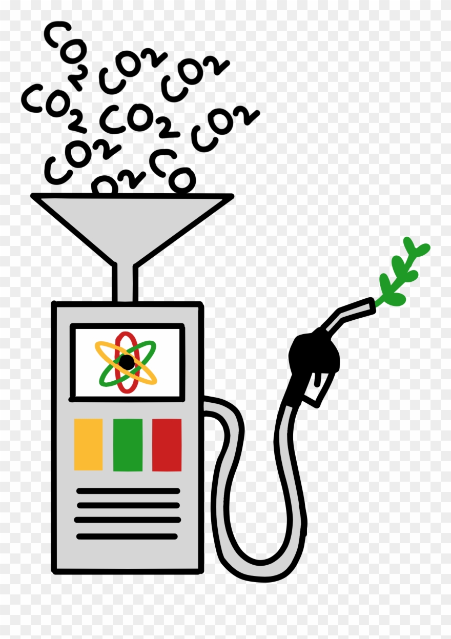 Anna Boyle/art Editor - Tartan Clipart