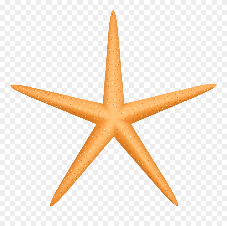 Yellow Starfish Png Clip Art Transparent Png