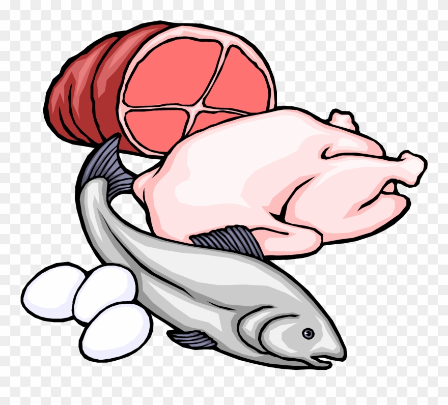 Download Carbohydrates Drawing At Getdrawings Meat And Fish Clipart