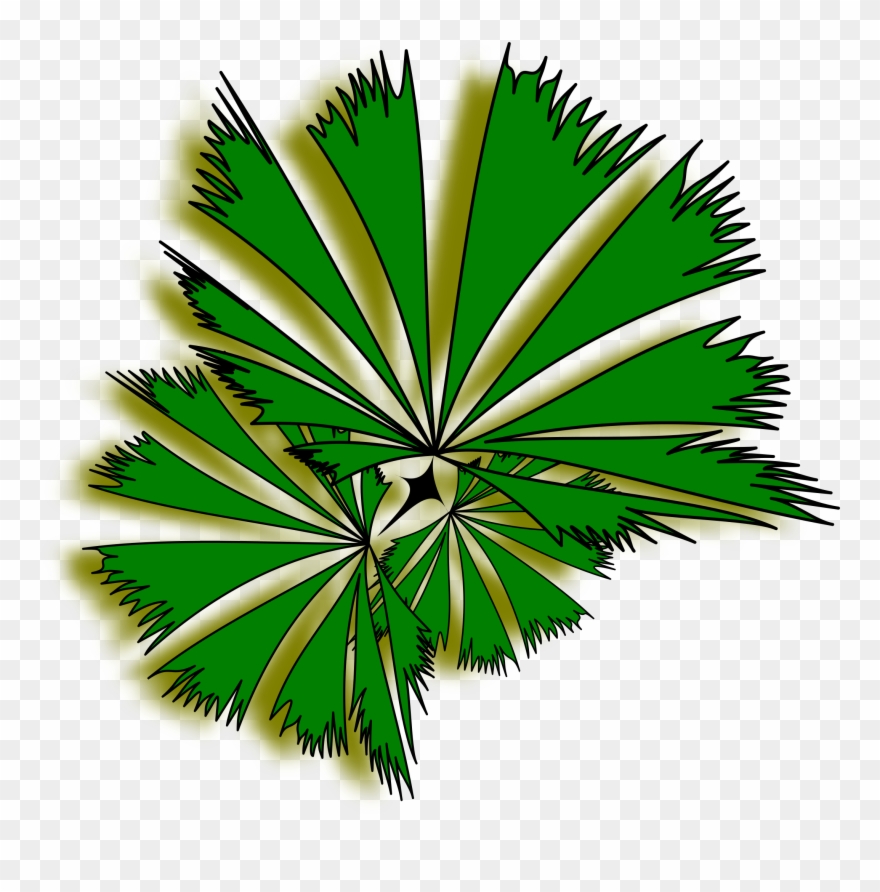 Palm Tree Clipart Top - Palm Trees - Png Download