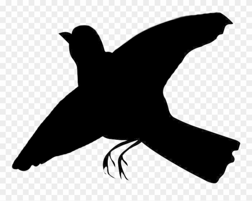 Clip Library Airplane Silhouette Tattoo At - Transparent Flying Black Bird - Png Download