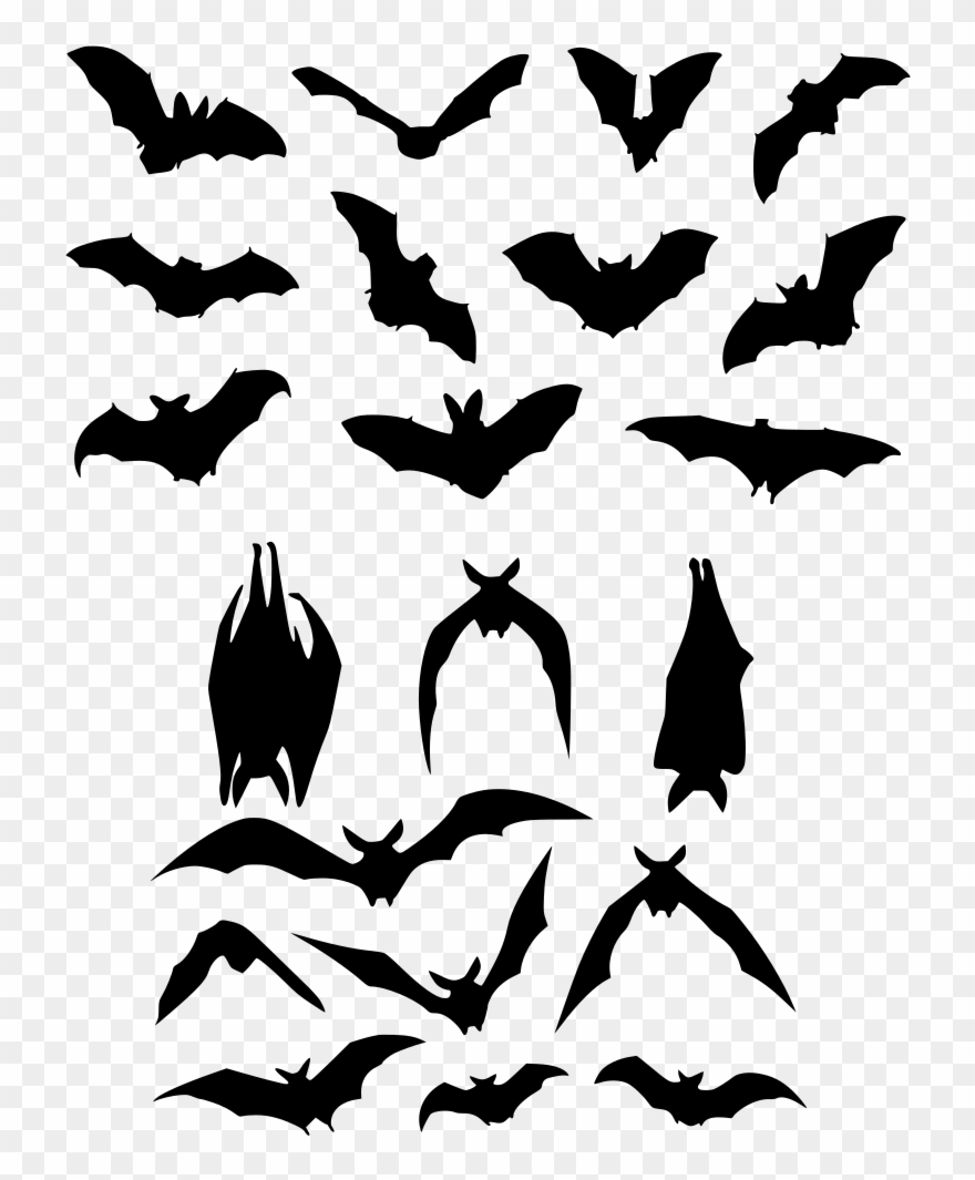 Bat Flight Silhouette Logo - Bat Silhouette Clipart