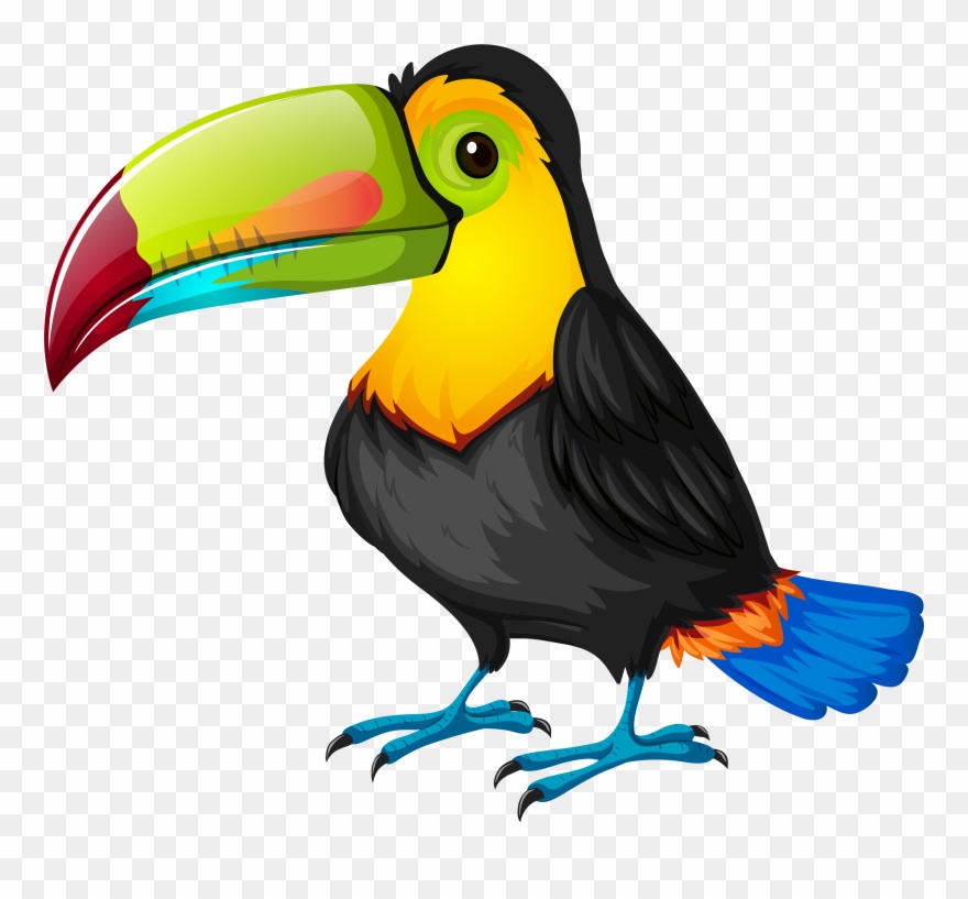 Toucan Clipart 1 Clip Art Bird - Png Download