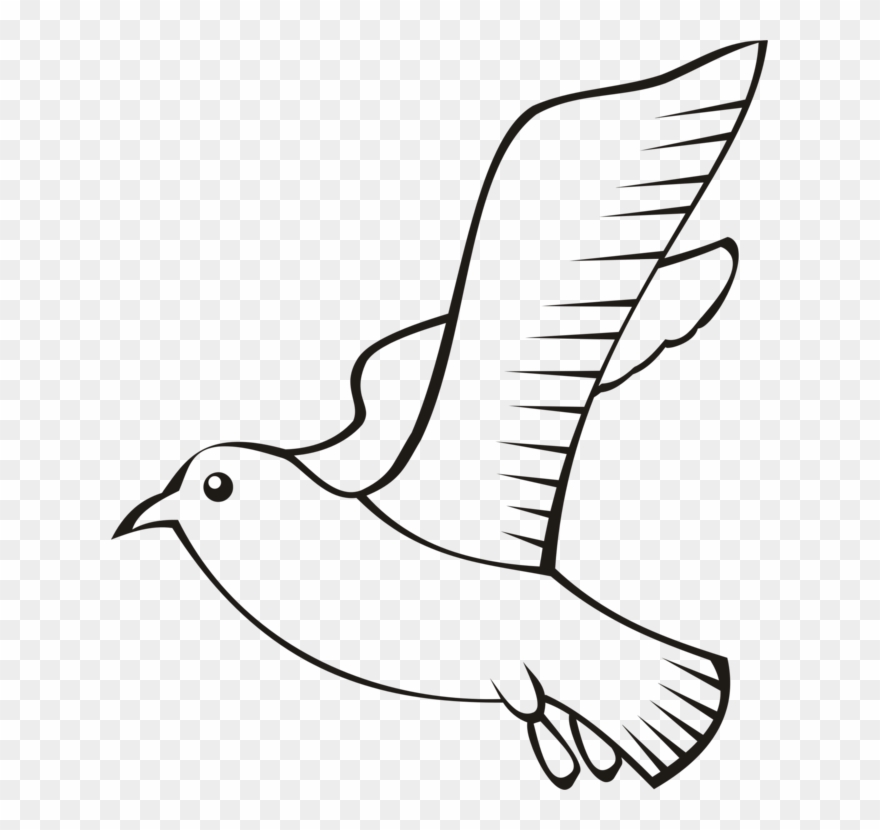 Feather Bird Beak Wing Flight - Outline Bird Png Clipart