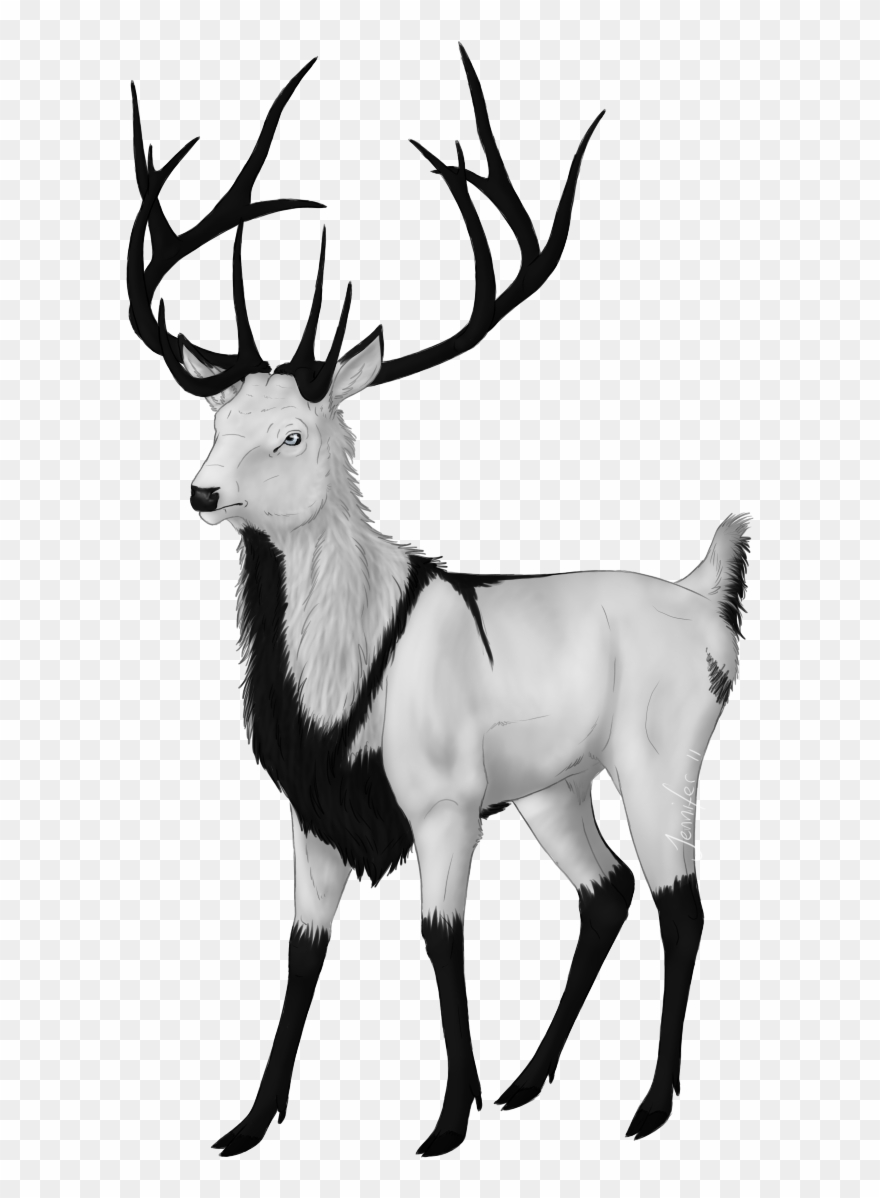 E V E N I D E - Deer Clipart