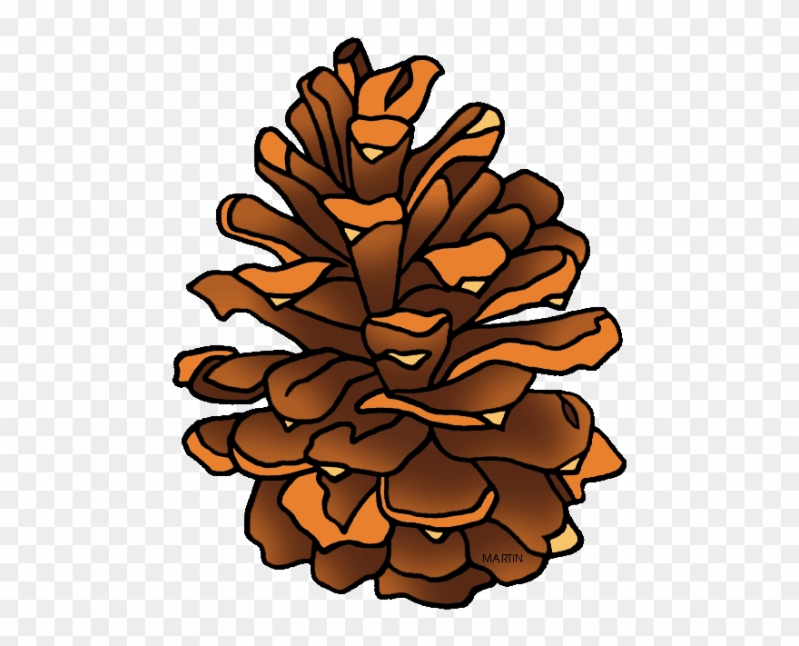 Clipart Pine Cone - Png Download