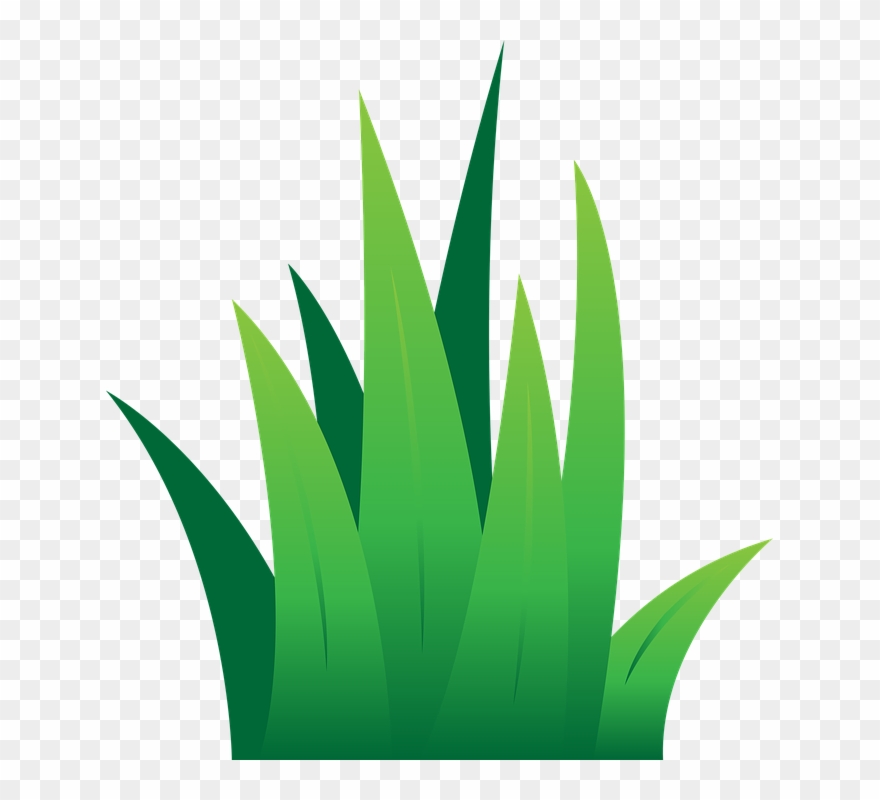 Lawn Clipart Leaves Grass - Clipart Green Grass - Png Download