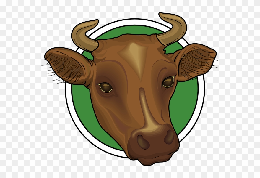 Cattle Clipart Cow Face - Head Of A Cow - Png Download