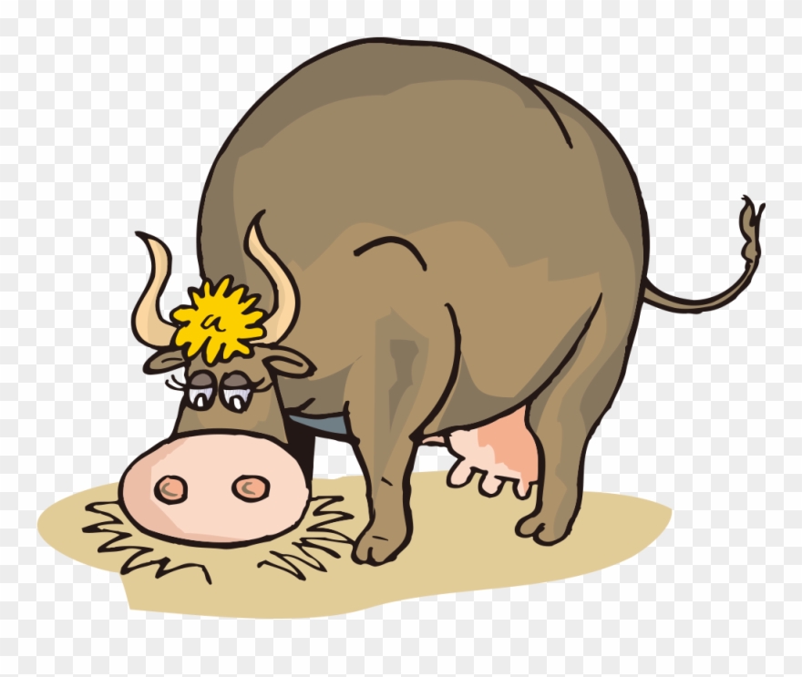 Clip Freeuse Stock Beef Clipart Cow Jersey - Cartoon Cow Eating Hay - Png Download