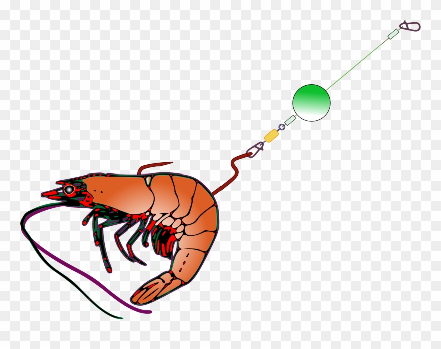 Fishing Bait Clip Art - Png Download