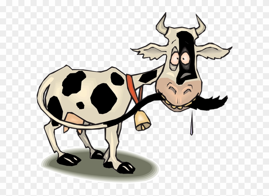 Black Cow Clip Art - Animated Cow - Png Download