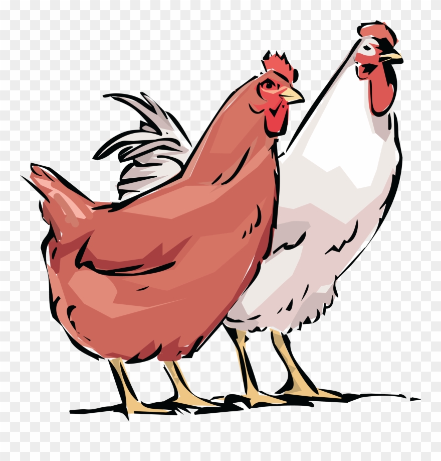 Free Clipart Of A Chicken Hen And Rooster - Hen And Rooster With Chickens Tote Bag - Png Download