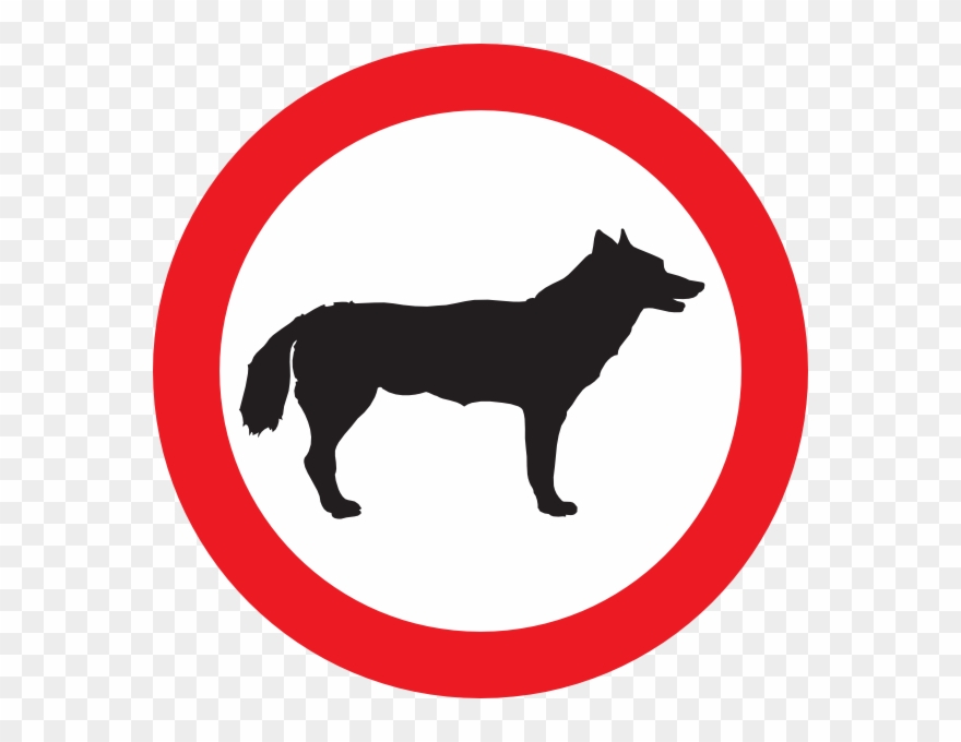 Corralejo Natural Park Clipart