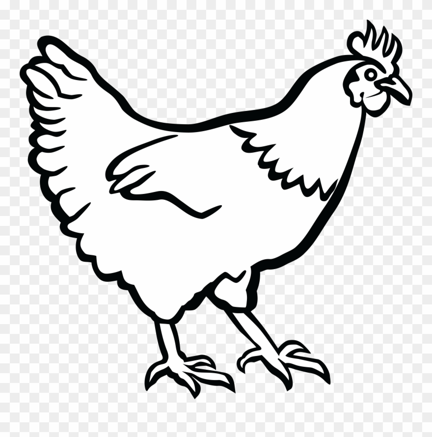 Picture Freeuse Stock Free Chicken Clipart Download - Black And White Image Of Hen - Png Download
