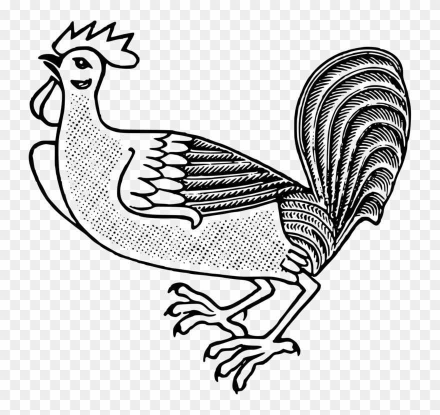 Rooster Welsummer Polish Chicken Livestock Poultry - Chicken Cockerel Pixabay Clipart