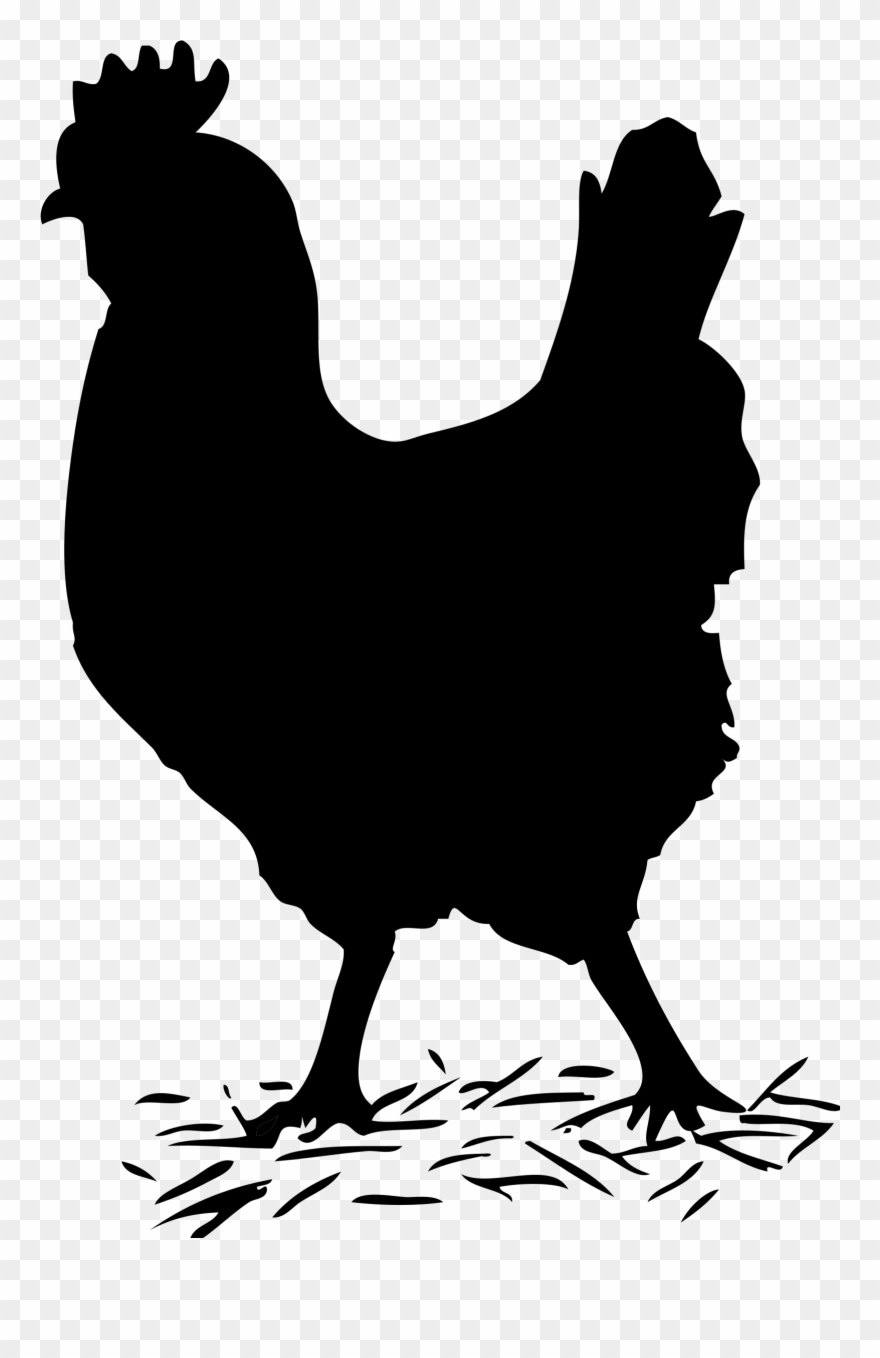 Clipart - Hen Clip Art Black And White - Png Download