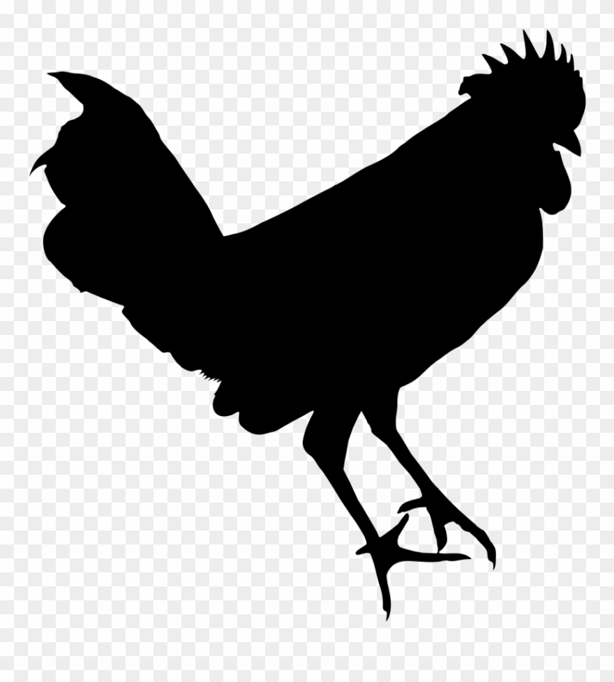 Chicken Silhouette - Clip Art - Png Download