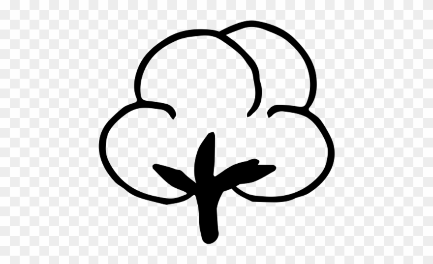 Jpg Transparent Download Cotton Vector Coloring - Textile Clipart