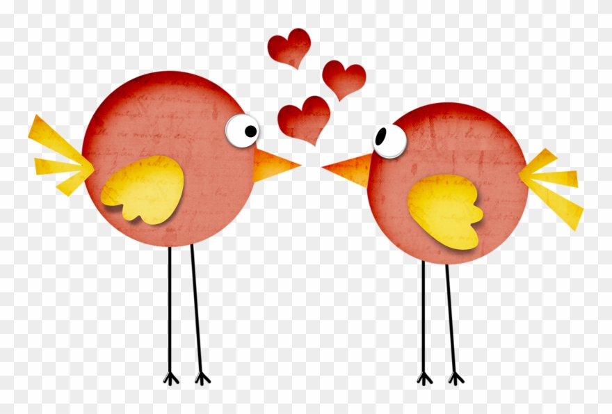 Birds ‿✿⁀○ Clipart