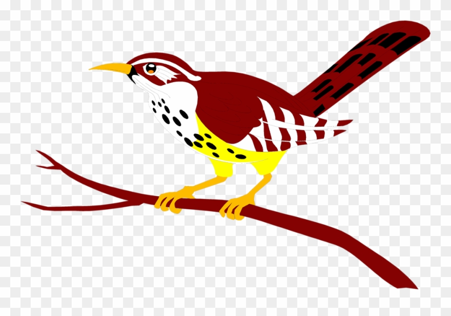 Free Stock Photos - Clipart Bird On A Branch - Png Download
