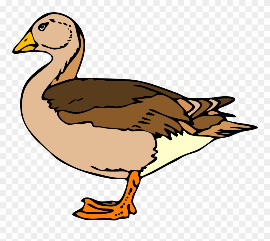 Duck Clipart Side View - Duck Clip Art - Png Download