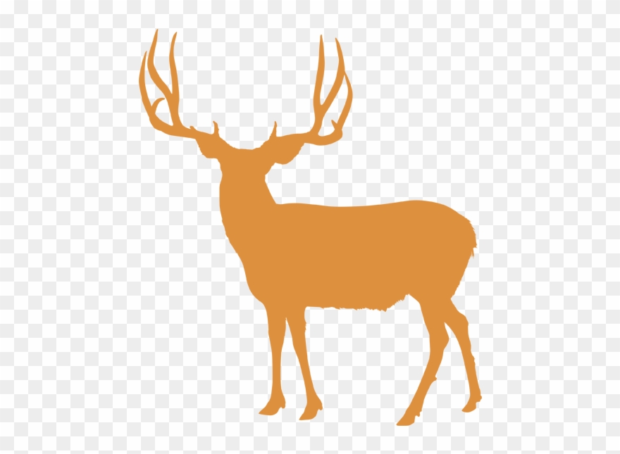 Image Royalty Free Stock Antlers Transparent Mule Deer - Central Mountains Nebo Clipart