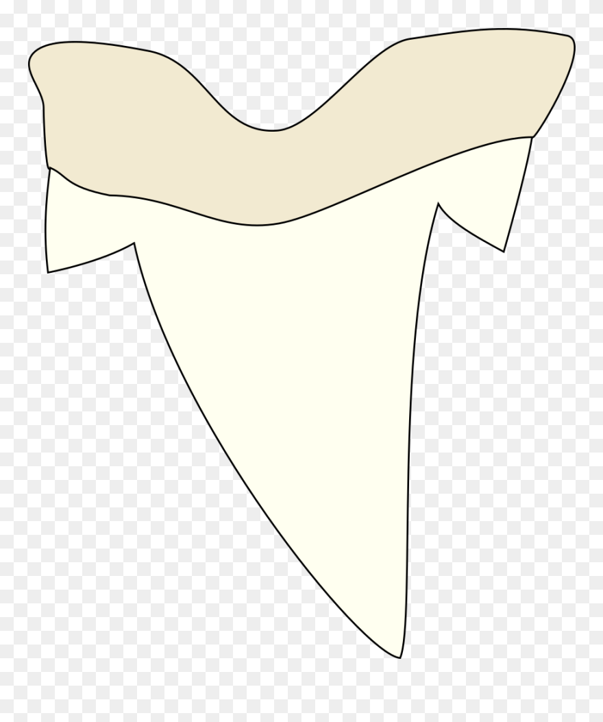 Clipart - Shark Tooth - Simple Shark Tooth Drawing - Png Download