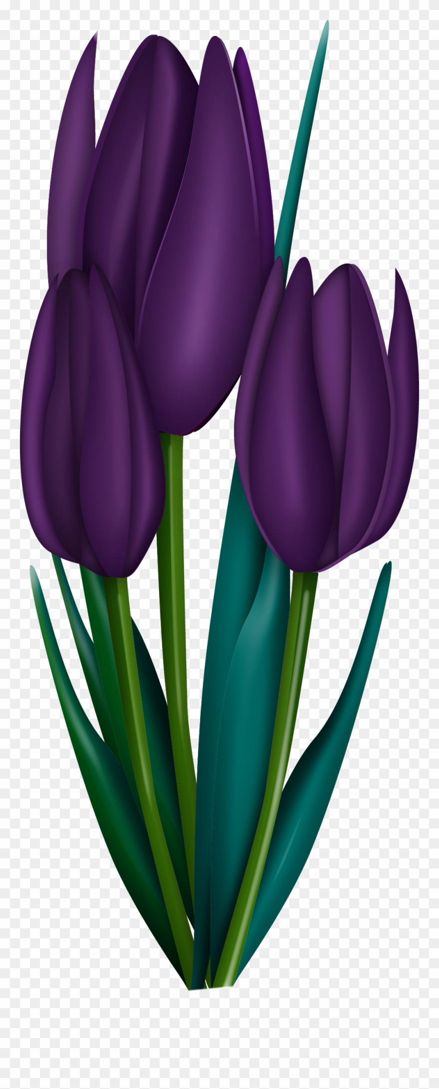 0 14366e Cdbddc37 Orig Clipart