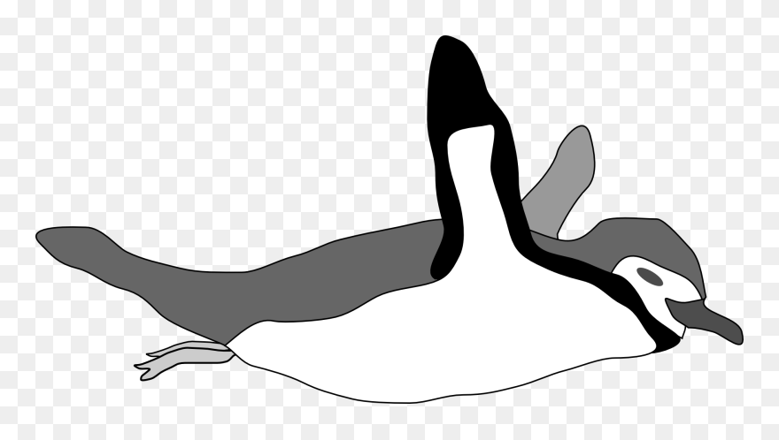 Swim - Penguin Swimming Clip Art - Png Download
